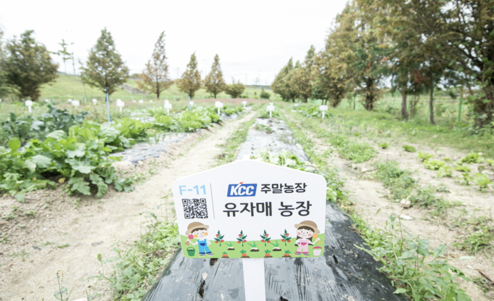 Read more about the article KCC, 임직원 위한 힐링 여행지 가족텃밭 & 캠핑장 운영