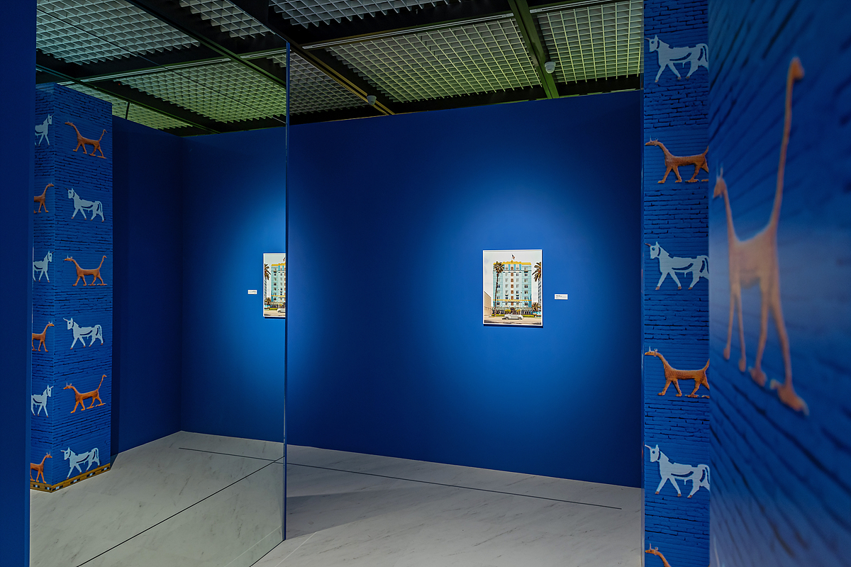 전시장 내부 전경. 웨스 앤더슨 감독의 작품들처럼 다양한 컬러를 활용한 전시 공간과 전 세계 190만 명의 사람들이 모험하며 보고 느낀 메시지와 가치들이 전시돼 있다.