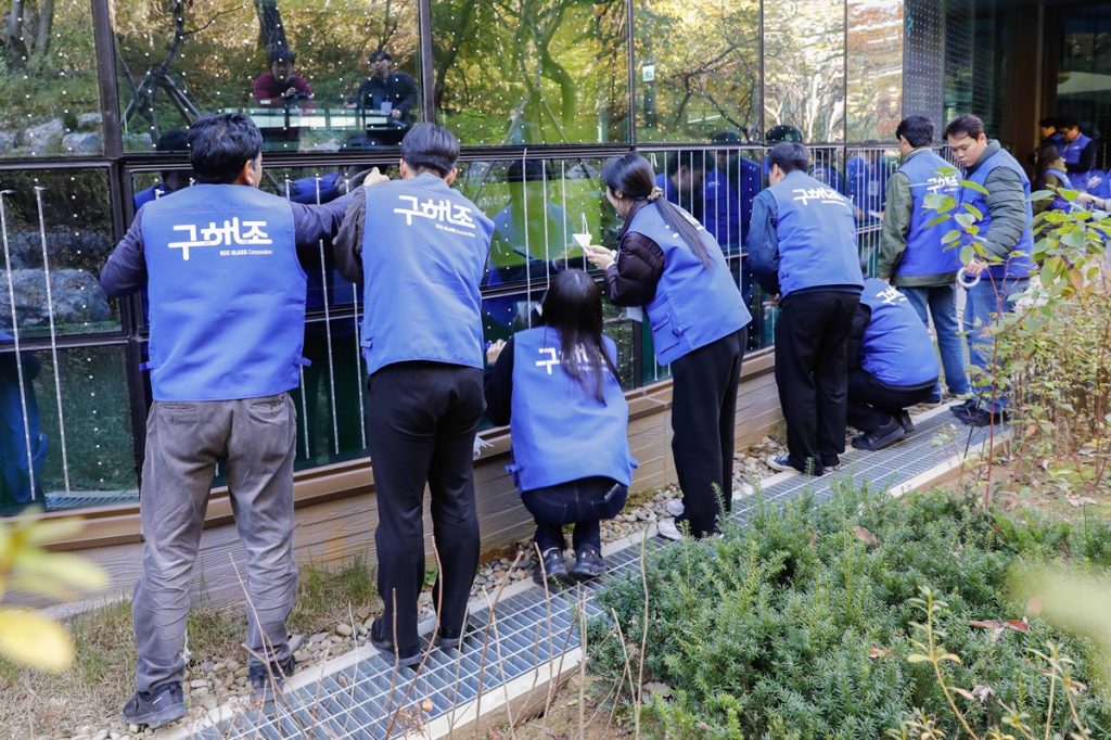 '구해조(鳥) KCC글라스' 캠페인 참여자들이 조류충돌방지스티커 부착 활동을 진행하고 있다.