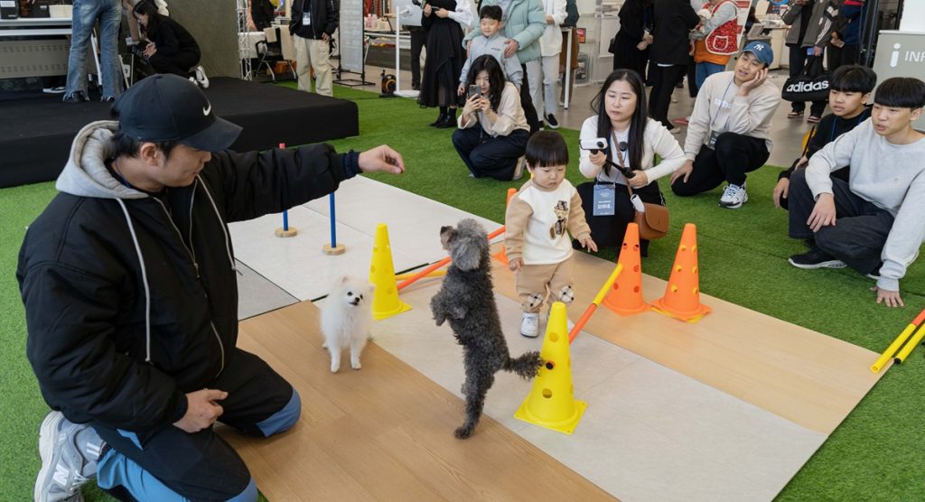 지난 22일 KCC글라스 홈씨씨 '포레스톤' 브랜드데이 행사에 참여한 유튜브 채널 ‘개랑해TV’ 조재호 훈련사와 반려견들이 포레스톤 위에서 다양한 활동 모습을 선보이고 있다.