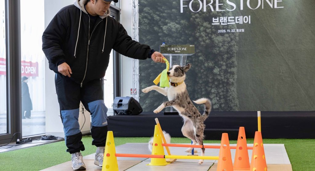 지난 22일 KCC글라스 홈씨씨 '포레스톤' 브랜드데이 행사에 참여한 유튜브 ‘개랑해TV’ 조재호 훈련사와 반려견들이 포레스톤 위에서 다양한 활동 모습을 선보이고 있다.