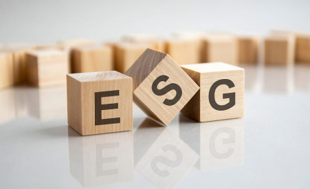 Read more about the article [Green Tech] 다양성, 형평성, 포용성을 보장하고 실천하라