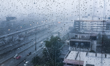 Read more about the article [유유상종] 뽀송하고 쾌적한 장마철을 위한 내수성