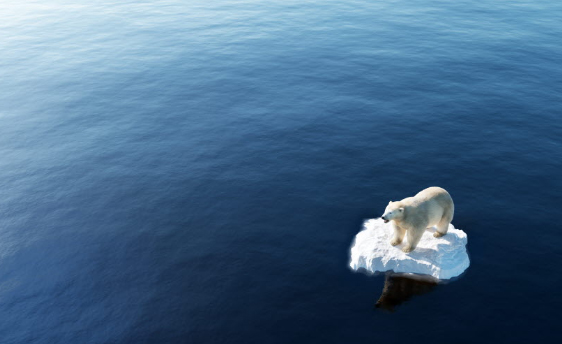 Read more about the article [Green Tech] ‘탄소중립’ 이대로 실현 가능한가?